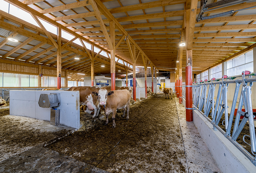 Stallung in Schenkenfelden innen